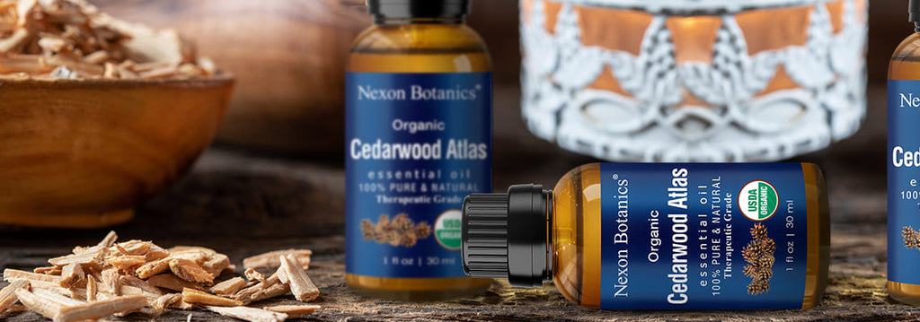 Cedarwood - Benefits & Uses - Hysses Singapore