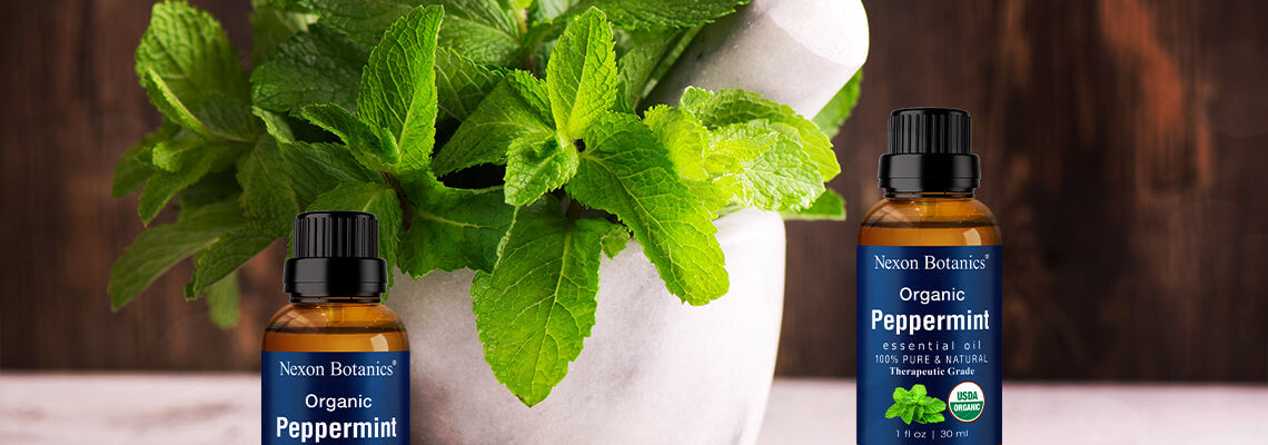 Spearmint Essential Oil is Different From Peppermint Oil, Read Its Benefits  and Uses