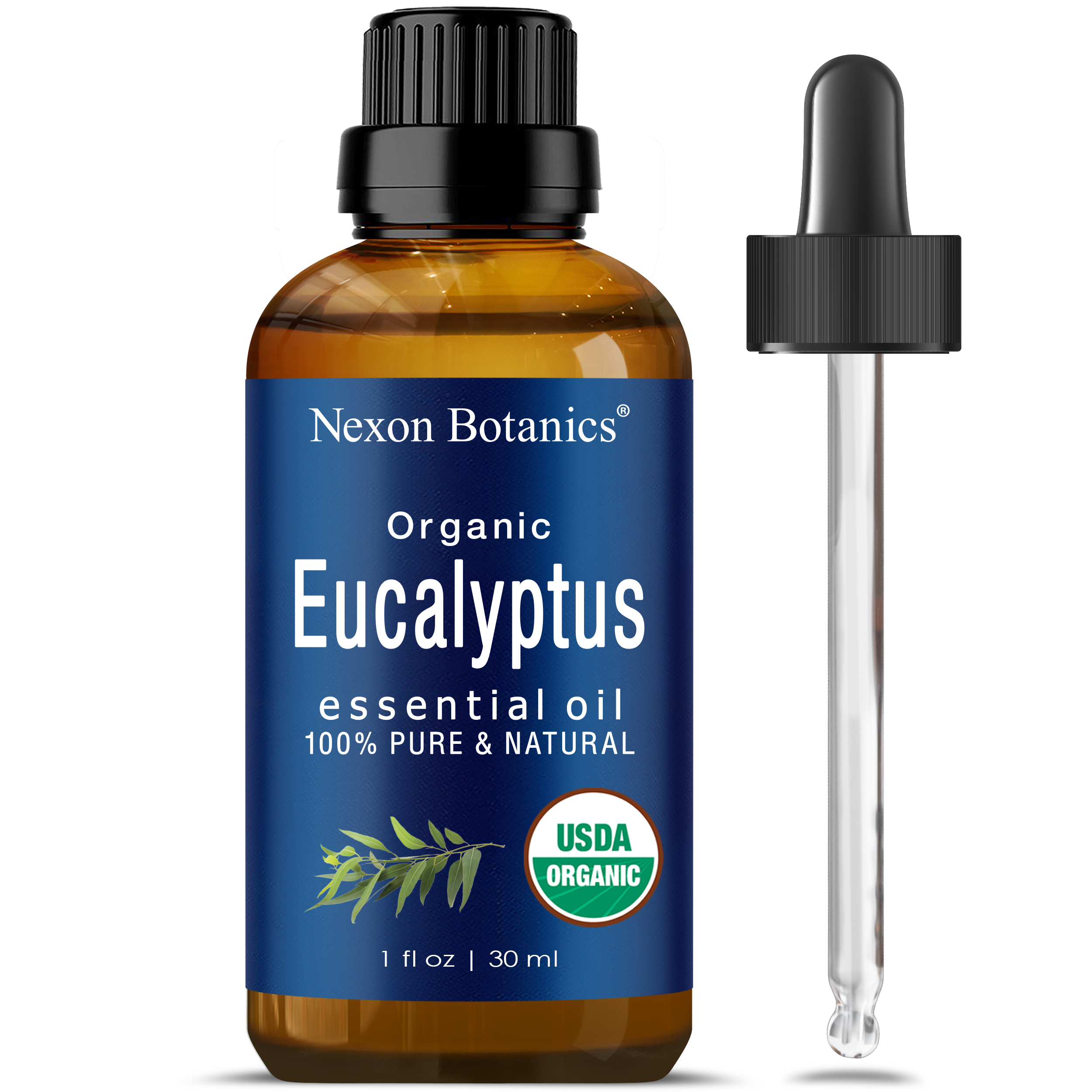 Organic Eucalyptus Essential Oil