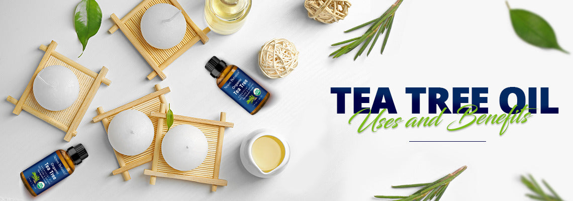 Tea tree Essential Oil Uses and Benefits