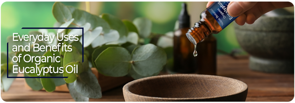 Everyday Uses and Benefits of Organic Eucalyptus Oil