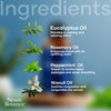 Infographic showing key botanical ingredients: Eucalyptus Oil, Rosemary Oil, Peppermint Oil, and Niaouli Oil.